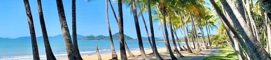 A beach lined with palm trees in Cairns