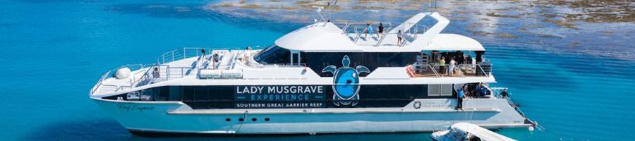 Lady Musgrave Island lady musgrave island boat tour on the reef