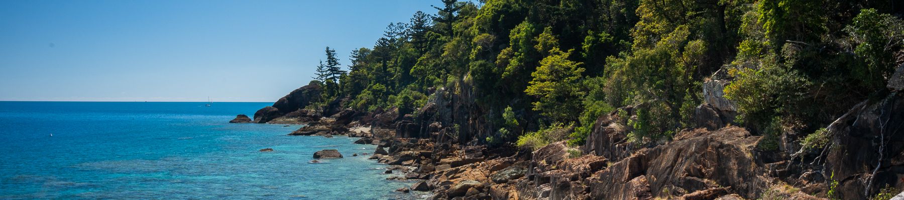 an island with green trees and rocks