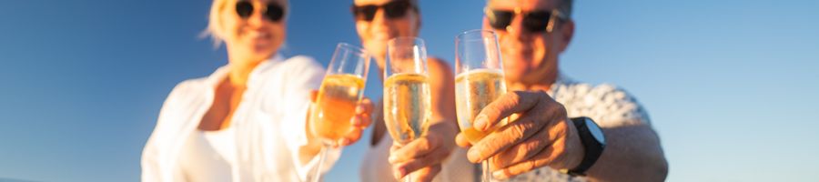 Whitsunday Salty Yacht Charter Three people with wine glasses cheersing at the camerta