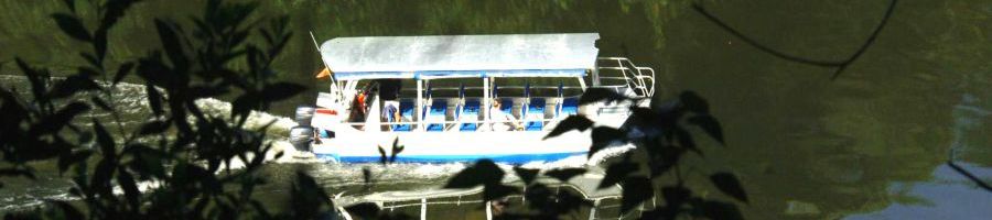 daintree river cruise traveling along the river