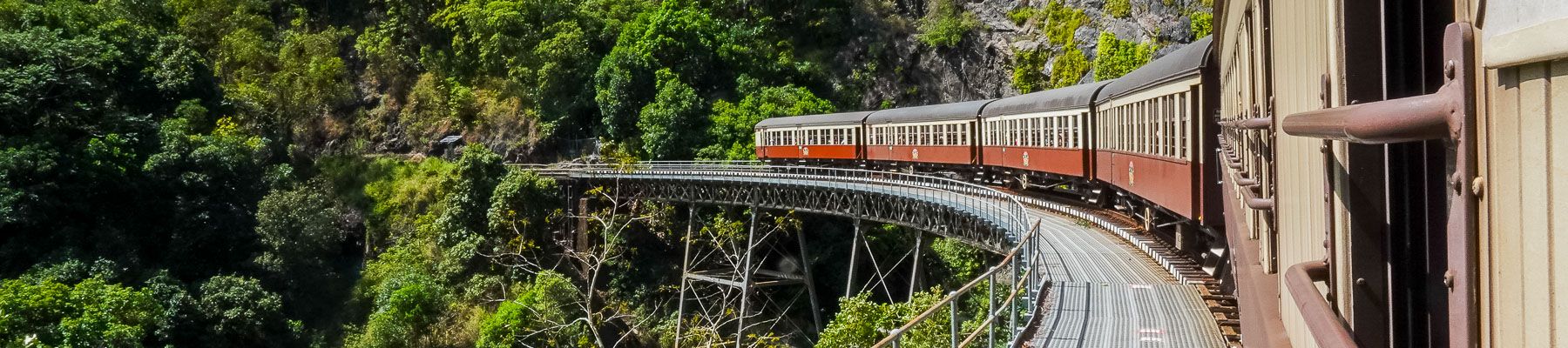 Scenic Rail in the Forest