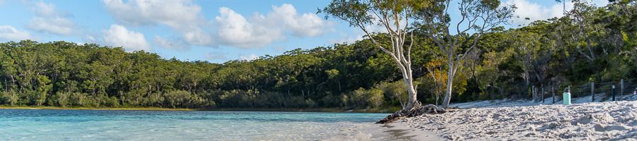 Lake McKenzie on K'gari (Fraser Island)