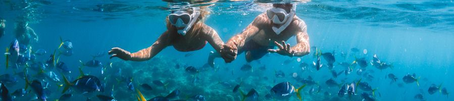 Great Barrier Reef in the Whitsundays A couple snorkelling in the reef