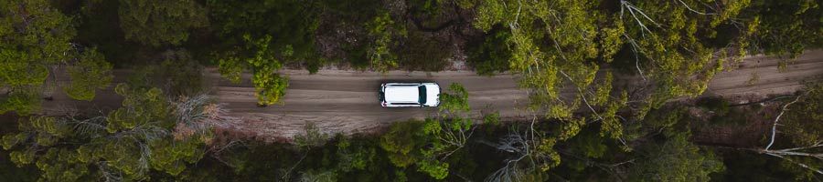 4WD Driving K'gari white 4wd driving through kgari rainforest