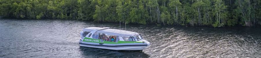 boat cruising along the mulgrave river