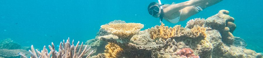 girl snorkelling in the reefs around green island cairns