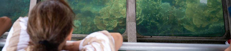 girl looking at corals on a glass bottom boat tour