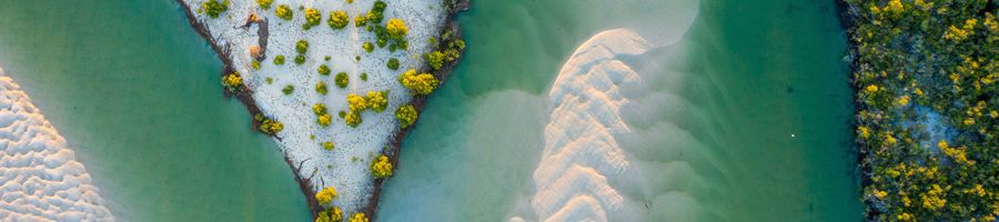 Noosa River Waterways waterways along the noosa river queensland
