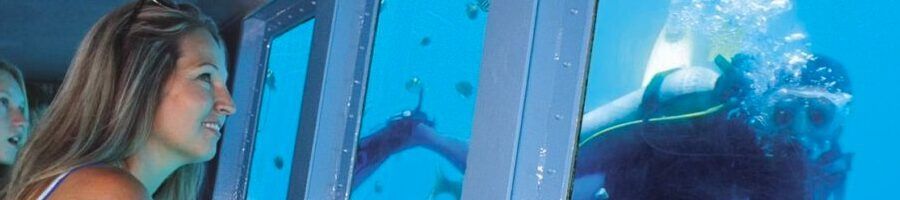 A woman admiring the reef from the semi-submersible on the Quicksilver pontoon
