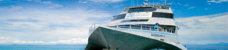 The wave piercer catamaran taking guests from Port Douglas to outer reef