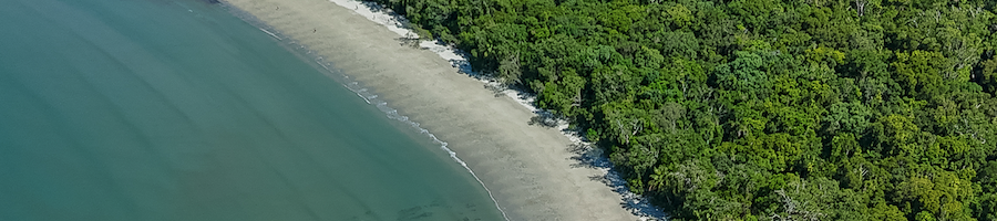Cape Tribulation a drone shot of a beach at low tide