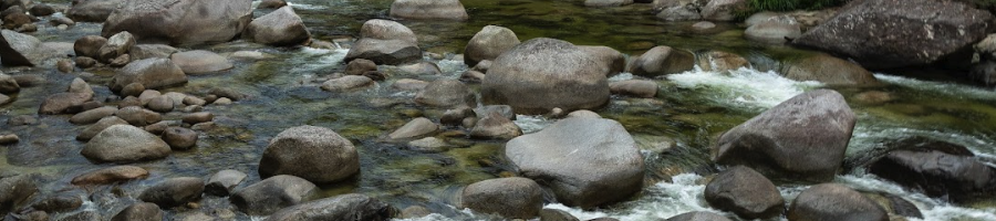 Mossman Gorge a drone shot of a stream with boulders