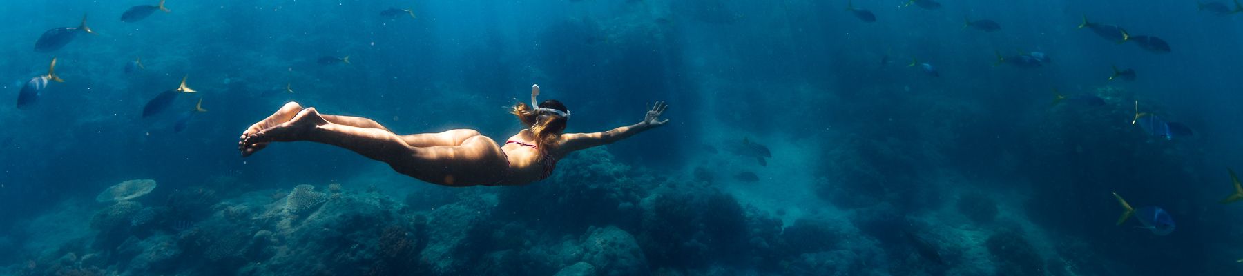 Great Barrier Reef a woman snorkelling on the great barrier reef
