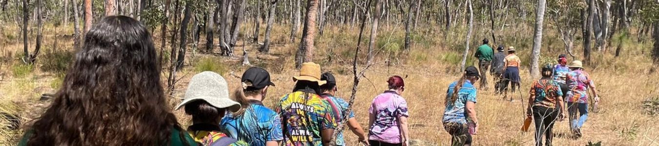 Group bush walk in Cairns