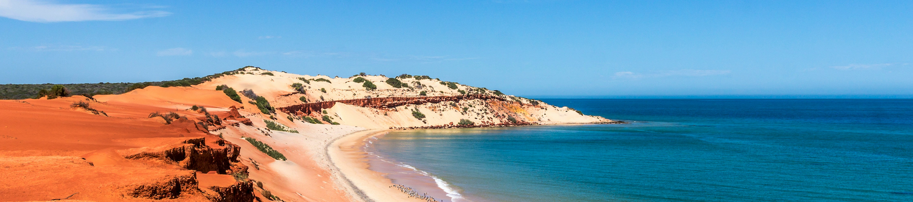 a landscape shot of a beach meeting with red sand