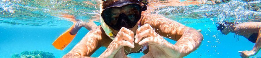 Snorkelling in the Great Barrier Reef