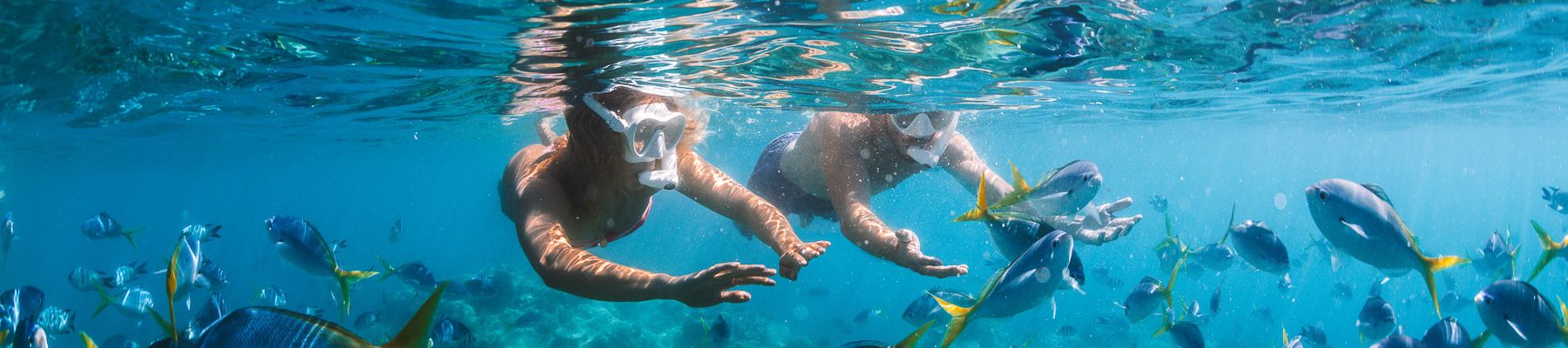 A man and woman snorkelling under water 