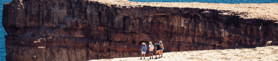 A group of people standing on a cliff looking out to sea