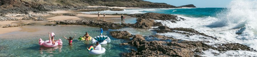 dingos our Fraser Island Champagne pools Fraser Island